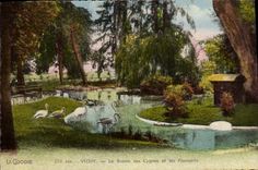 CPA Vichy Le Bassin des Cygnes et les Flamants