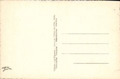 CPA Vichy Le Bassin des Cygnes et les Flamants