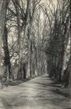 VINTAGE POSTCARD Luxeuil Park Gone of the Plane trees