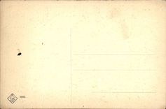 CPA Venezia Palazzo ducale 