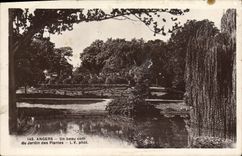 La POSTAL de la VENDIMIA encoleriza una esquina hermosa del jardín botánico