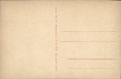 CPA Mainz Rheinpartie Bateau