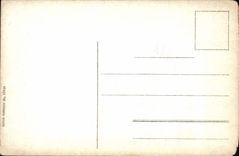 VINTAGE POSTCARD Rutli the Wiese