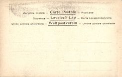 POSTAL Roma asa Di Cola Di Rienzi de la VENDIMIA