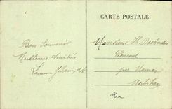 VINTAGE POSTCARD Heavy Swallows