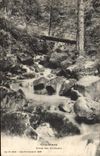 VINTAGE POSTCARD Gerardmer Gorges With the Kinglets