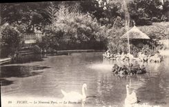 CPA Vichy Le Nouveau Parc Le Bassin Des Cygnes