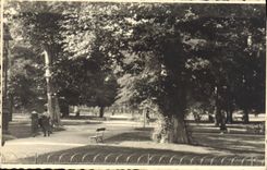 VINTAGE POSTCARD Vichy Garden