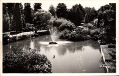 CPA Vichy Le Bassin Des Cygnes Dans Les Grands Parcs