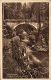 VINTAGE POSTCARD Gerardmer the Bridge of the Jump of the Tanks