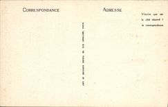 CPA Les Gorges de Tarn Ruines du Chateau de Peyrelau La Tour