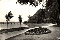 CPM Gien Promenade du Port au Bois