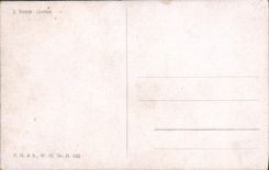 VINTAGE POSTCARD J Nosek Goethe