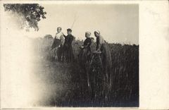 CARTE PHOTO Paysans Femmes Folklore 