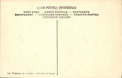 VINTAGE POSTCARD Museum of Lille Muller the madness of Haydee