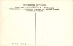 VINTAGE POSTCARD Carolus Duran Assassinates It Museum Of Lille