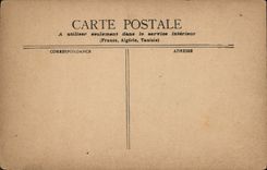 VINTAGE POSTCARD C Monginot Feathery