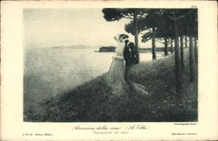 VINTAGE POSTCARD Harmony of the evening Villa