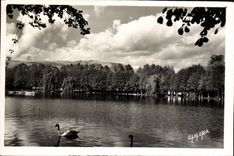 CPM Puigcerda Et Lago Le Lac 