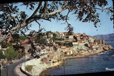 CPM Marseille La Corniche l'anse du Prophete 