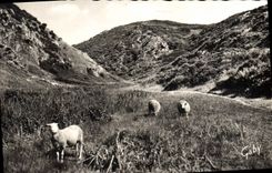 CPM Carolles Edenville La Valle du Lude 