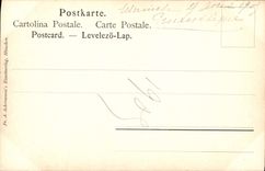 VINTAGE POSTCARD Van Dyck Traubenesser Taster of grape