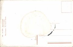 VINTAGE POSTCARD Jab Styka In Via Appia