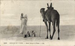 VINTAGE POSTCARD Scenes and Types Arab making the Prayer Camel