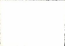 Photograph with the beach