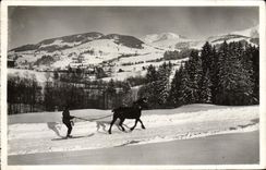 MODERN CARD Megeve Winter sports Horse