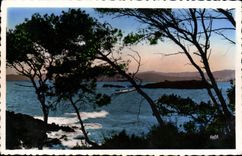 MODERN CARD St Raphael the Lion