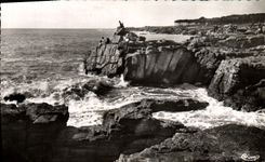 POSTAL MODERNA Sables d'Olonne la dimensión salvaje