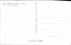 POSTAL MODERNA Sables d'Olonne la dimensión salvaje