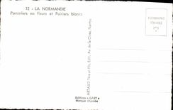 MODERN CARD Normandy Apple trees In Flowers And Pear trees White Cows