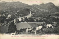 VINTAGE POSTCARD Heavy Sight On the surrounding Basilica and mountains Cows