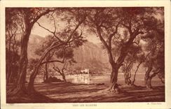 VINTAGE POSTCARD Under the Dauchez Olive-trees