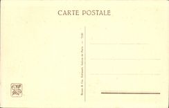 VINTAGE POSTCARD Under the Dauchez Olive-trees