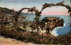 CPA Monaco Vue Prise Entre Les Fleurs
