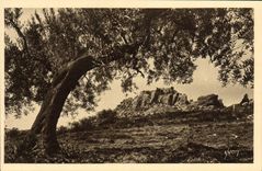 CPA Les Baux Les ruines du chateau vues a travers les oliviers