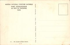 CPA Paris Parc Zoologique Du Bois De Vincennes Un couple d'ours bruns