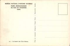 CPA Paris Parc Zoologique Du Bois De Vincennes Le bassin des ours blancs