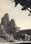 CPA Paris Parc Zoologique Du Bois De Vincennes Le parc des girafes Le grand rocher