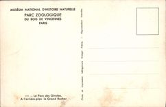 VINTAGE POSTCARD Paris Zoological gardens Of Wood De Vincennes the park of the giraffes the large rock