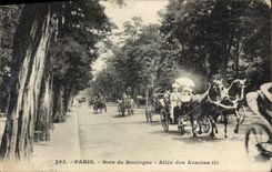 VINTAGE POSTCARD Paris Bois de Boulogne Gone of Acaias