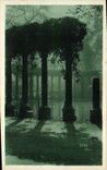 VINTAGE POSTCARD Paris crossbred with the park Heap
