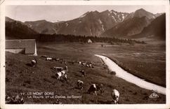 CPA Le Mont Dore La Route Et La Chaine Du Sancy Vaches