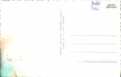 CPM Sainte Anne d'Auray Basilique Vue d'ensemble La Scala Sancta Monument aux morts 