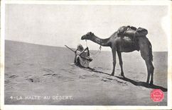 CPA La Halte au Desert Chameau