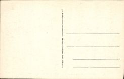 CPA Vichy La Source Grande Grille 