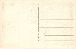 VINTAGE POSTCARD Vichy Galleries Covered with the Park